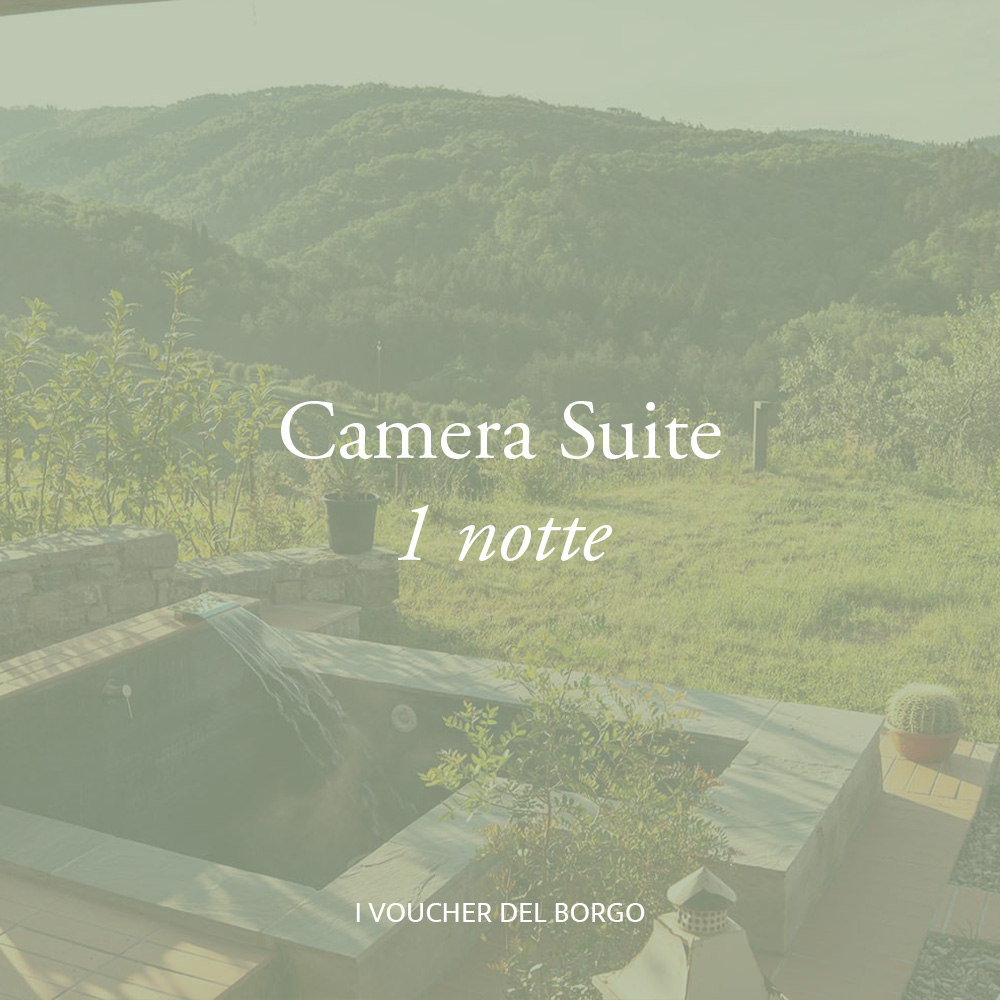 Suite con piscina privata in agriturismo nel Chianti