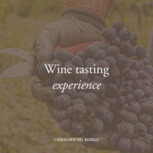 Wine tasting experience