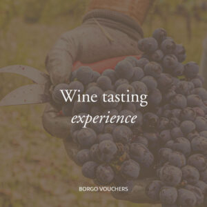Wine tasting experience