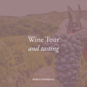 Wine tour & tasting